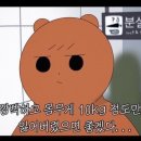 11305-10-298-1 | [대전빵집] 대전 샌드위치 맛집 파셀 오픈런 후기