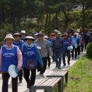 서천군보건소, 1530 만보걷기 발대식 및 한마음 치매극복 건강걷기행사 성료!(서산태안TV) 이미지