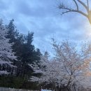 씨유공릉철길공원점 | 공릉철길 노원 기차마을 맛집, 데이트·모임하기 좋은 양식집 테르미니 추천