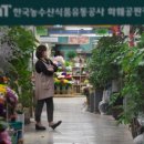 화원식육점