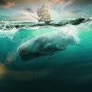 ㈜퍼플오션 이미지