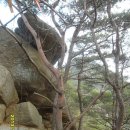 천장군 이미지