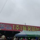 들꽃피는화원 이미지