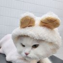 잔다냥 천안점 이미지