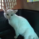 우창동로 이미지