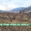중현농장 네이버블로그