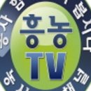 흥농농약종묘사 이미지