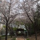 연산동고분군 이미지