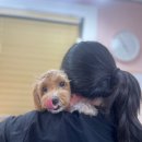 미용천재 이미지