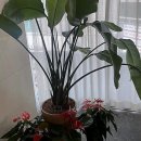 압구정메이트동물병원 | 갓생의 시작은 이곳에서! 나의 최애 헤어 메이트, 압구정로데오역미용실 정착기