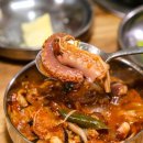 갯벌낙지 이미지