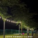 곤충나라 사과테마파크 오토캠핑장 이미지