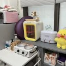 씨유 옥정제이드웰점 | 옥정 왁싱 잘 하는 릴리왁싱 브라질리언 왁싱 맛집