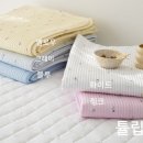 이안도매 이미지