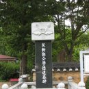 산남의진 정대장 양 이미지