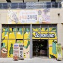 요녀석(하남점) | [서울 근교 아이랑] 실내 동물원 쥬라리움 동물 키즈카페 입장료