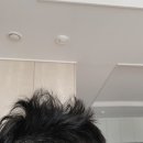 마이리틀끌로이 이미지