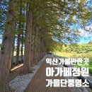 사회복지법인  다운회  아름다운 | 익산 아가페정원 익산가볼만한곳 가을 여행 명소