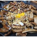 곱창부루스 이미지