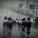 서해안농장 이미지