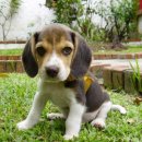 수유온누리약국 이미지