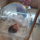 스위트궁 이미지