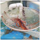 광명수산 이미지