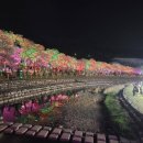 수안보로 이미지