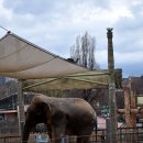 가가동물원 이미지