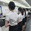 승무원 이미지