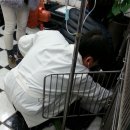 박성식동물병원 Daum카페