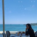 어디메 | 여수 여행 1, 오동도 동백열차, 예쁜 카페 모이핀