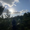 앞산고시원 - 남구 안지랑로20길 79-4 | 11월의 이모저모 (feat. 허락)