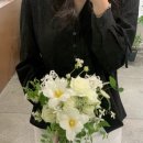 비프링 이미지