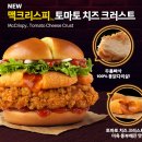크러스트 이미지