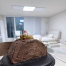 오르케이크