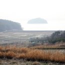 창촌목장 이미지