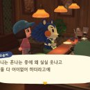 둥지카페 이미지