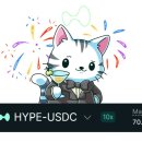 수정하이퍼마켓 | 하이퍼리퀴드는 왜 업비트에 없을까? HYPE 신고가 달성 및 전망