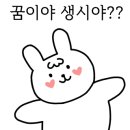 커피베리티