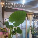 미소머리방 이미지