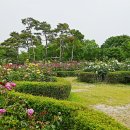 장자호수공원1 이미지