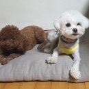 방구동구스낵 이미지