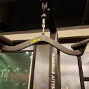 보리스 짐 이미지