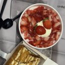 연초부르스 | 바쁘다바빠 26년 1,2월 연초 일상 공유