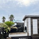 둘하루방 이미지