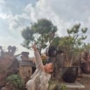 강촌보쌈 이미지