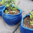 대환농장 이미지