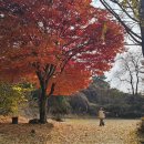 한강반 아인이의 미디어 없이 행복하고 건강한 하루🧡 이미지