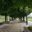 부천중앙공원 이미지